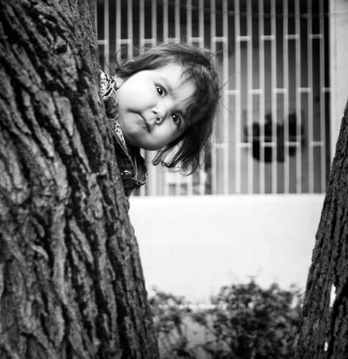 კადრზე შეჩერებული სისხლიანი ლომისობა და დედა სიდონიას გზა მონასტრისკენ Rating